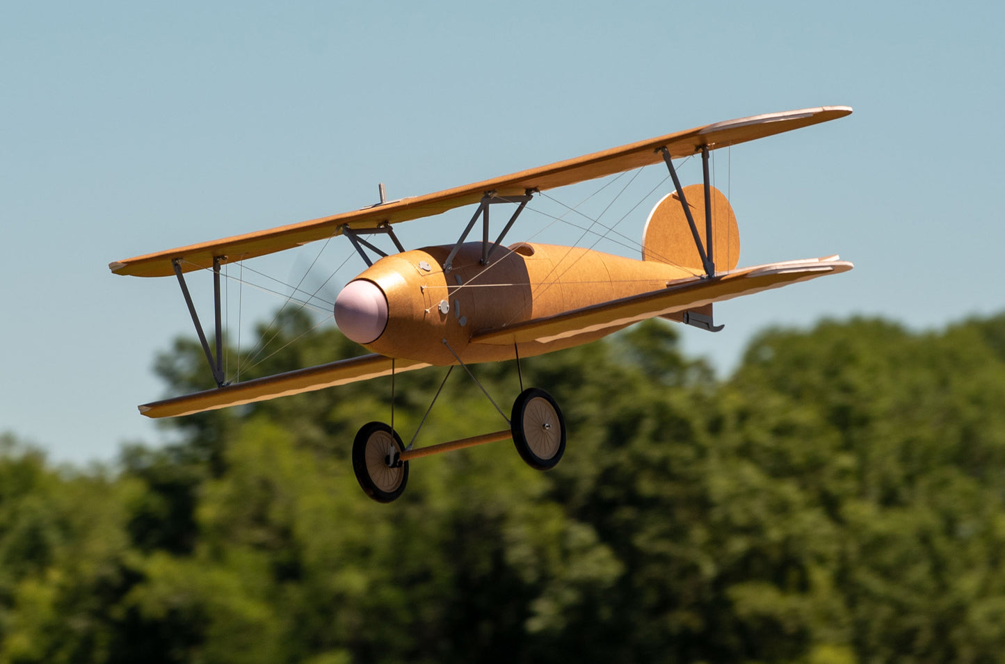 Albatros DVa V1 Plans