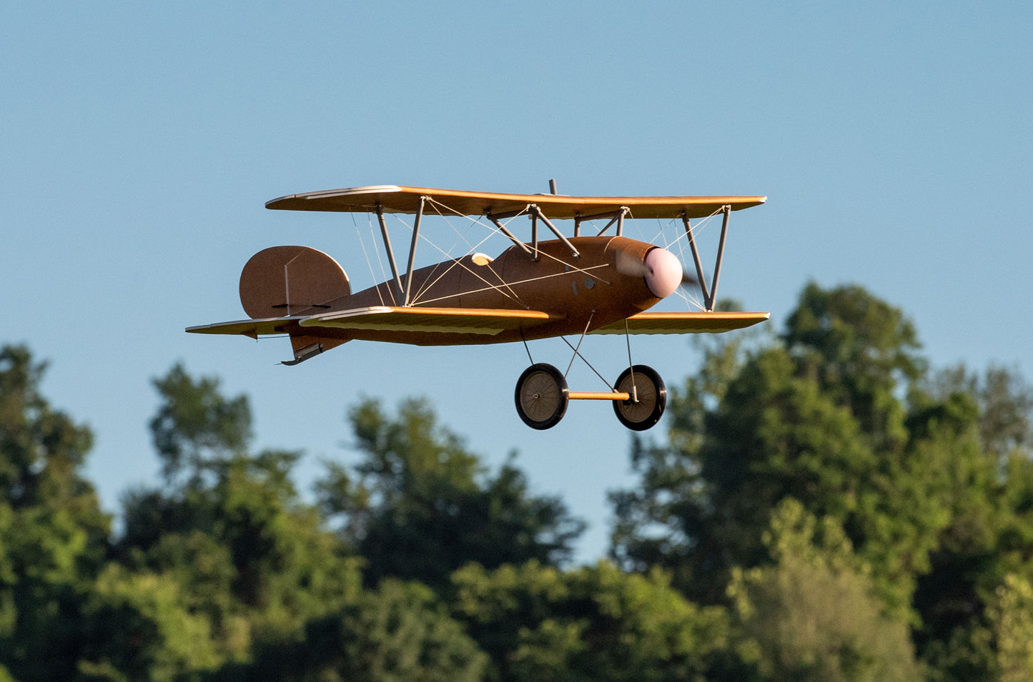 Albatros DVa V1 Plans