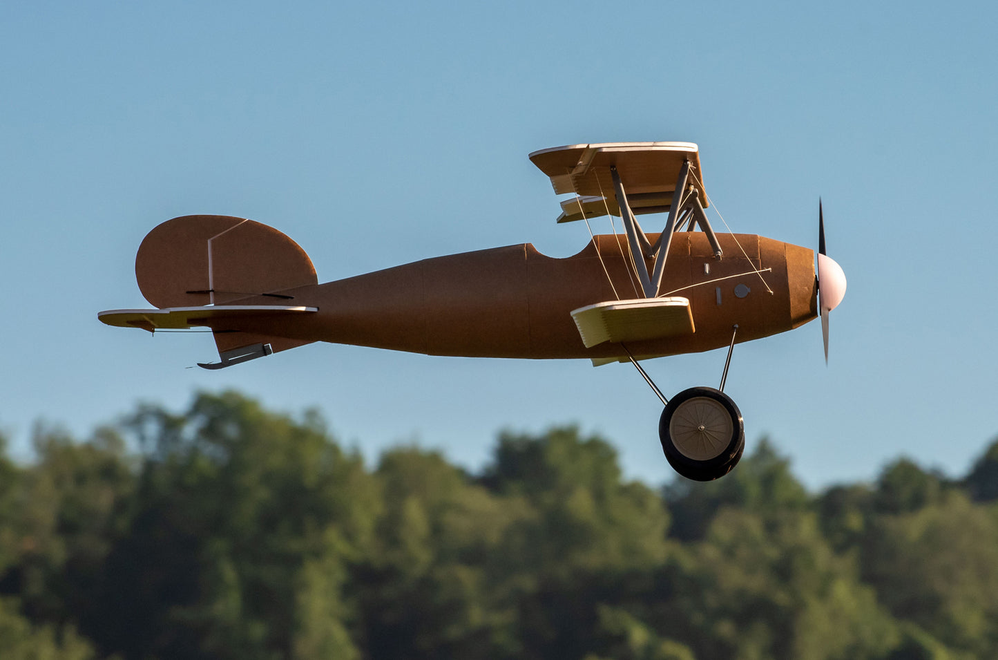 Albatros DVa V1 Plans